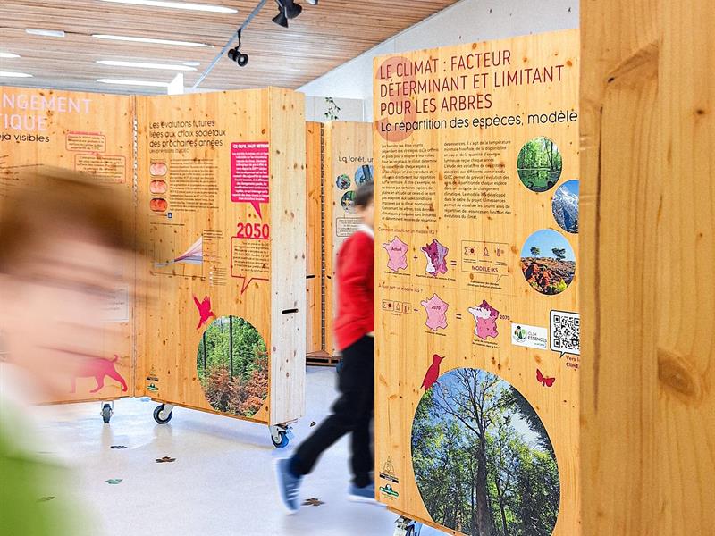Exposition - Les forêts du Grand Est à l'épreuve du changement climatique