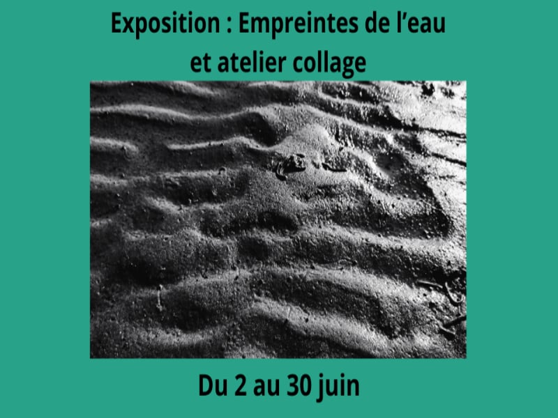 Exposition Empreintes de l'eau par Céline Vermeire Bruère.