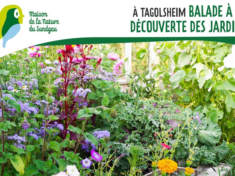 Balade à la découverte des jardins