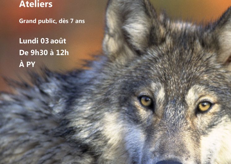 FESTIVAL NATURE : TOUT SAVOIR SUR LE LOUP