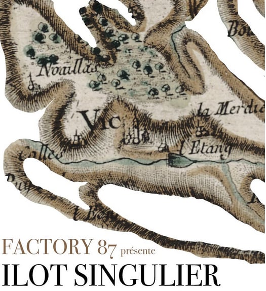 Exposition : Ilôt Singulier du Collectif FACTORY 87