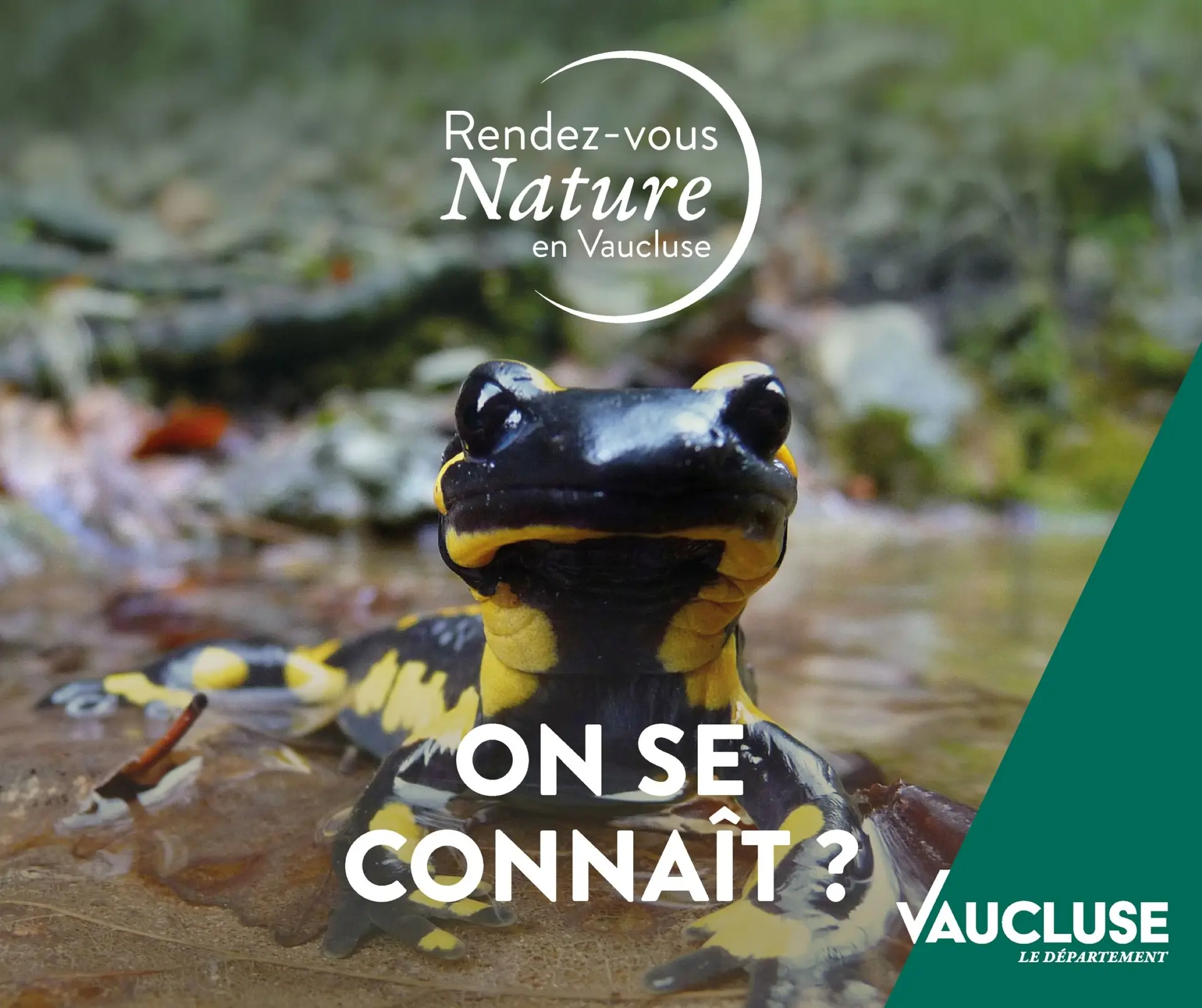 Rendez-vous Nature : Les mystères du petit peuple de la nuit