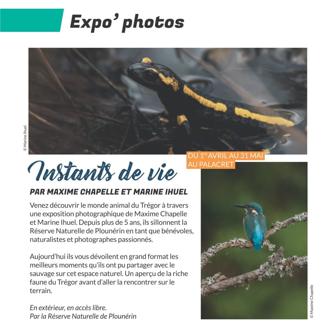Exposition : Instants de vie