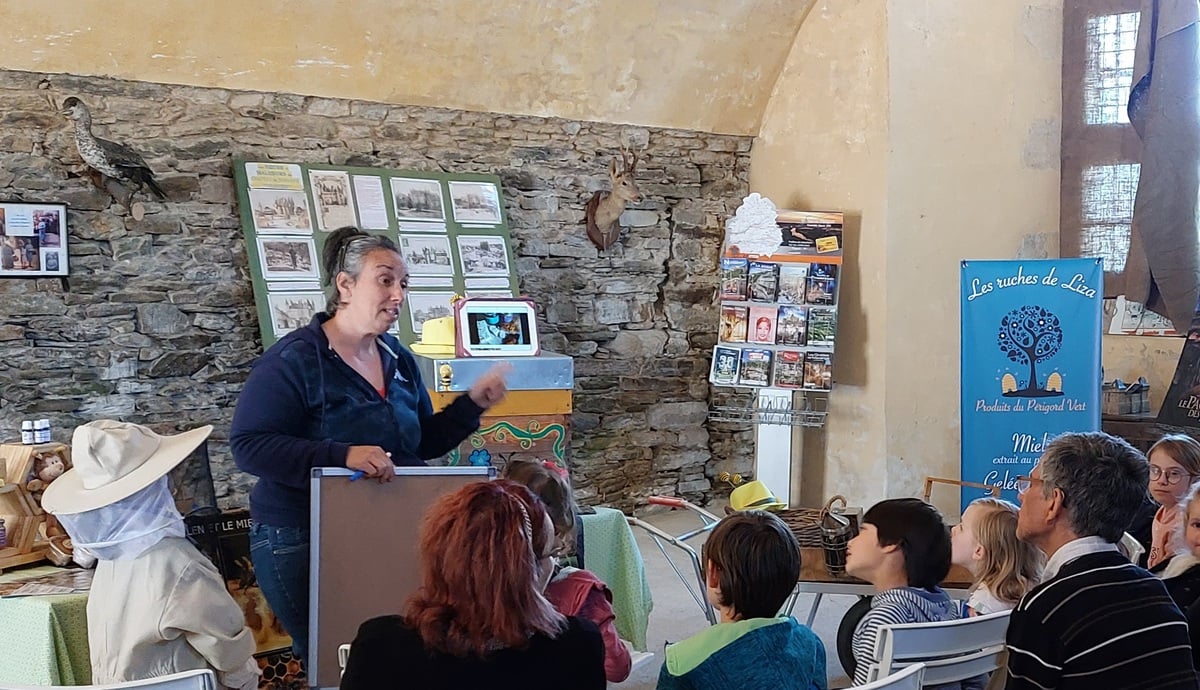 La ruche, les abeilles et l'apiculture - Château en fête