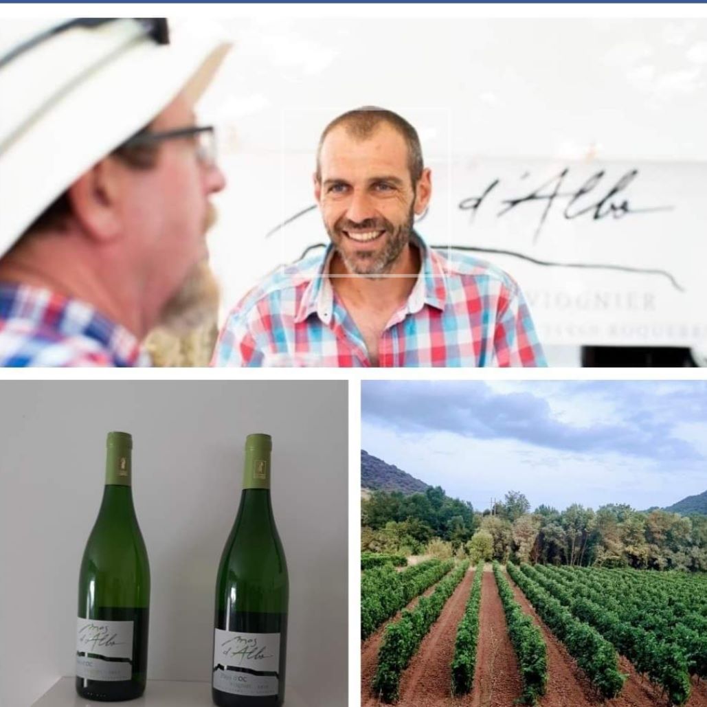 BALADE DES SAVEURS– IMMERSION AU CŒUR DU VIGNOBLE