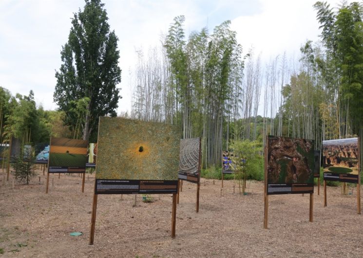 Jep 2026 : Exposition « La Terre Vue du Ciel » Yan Arthus Bertrand