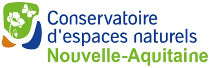Animation nature : Partez à la recherche des libellules