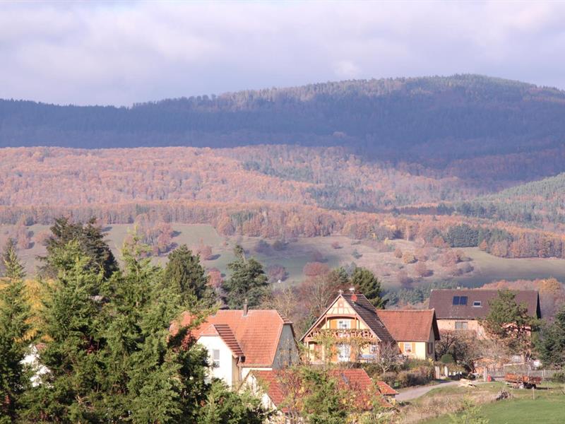 La route gourmande des guimbardes