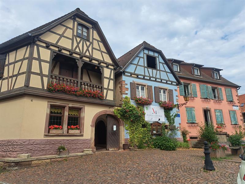 Découverte du métier de vigneron