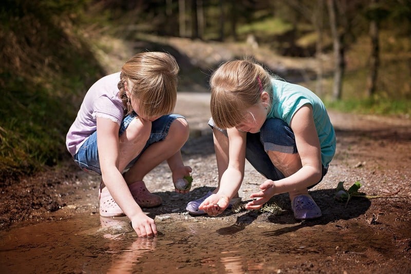 Atelier nature découverte des petites bêtes dans l'eau