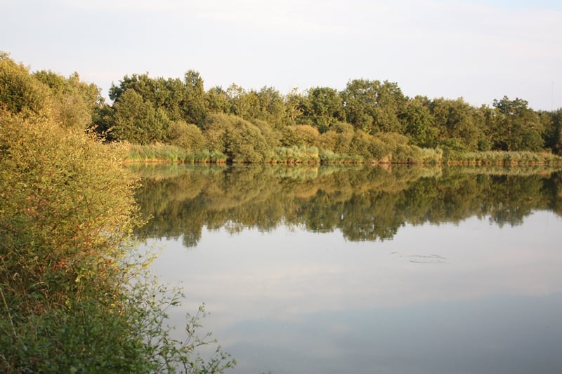 Oiseaux nicheurs de la Réserve Naturelle Régionale Terres et étangs de Brenne Massé-Foucault
