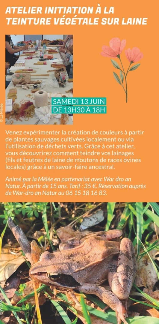 Atelier initiation à la teinture végétale sur laine