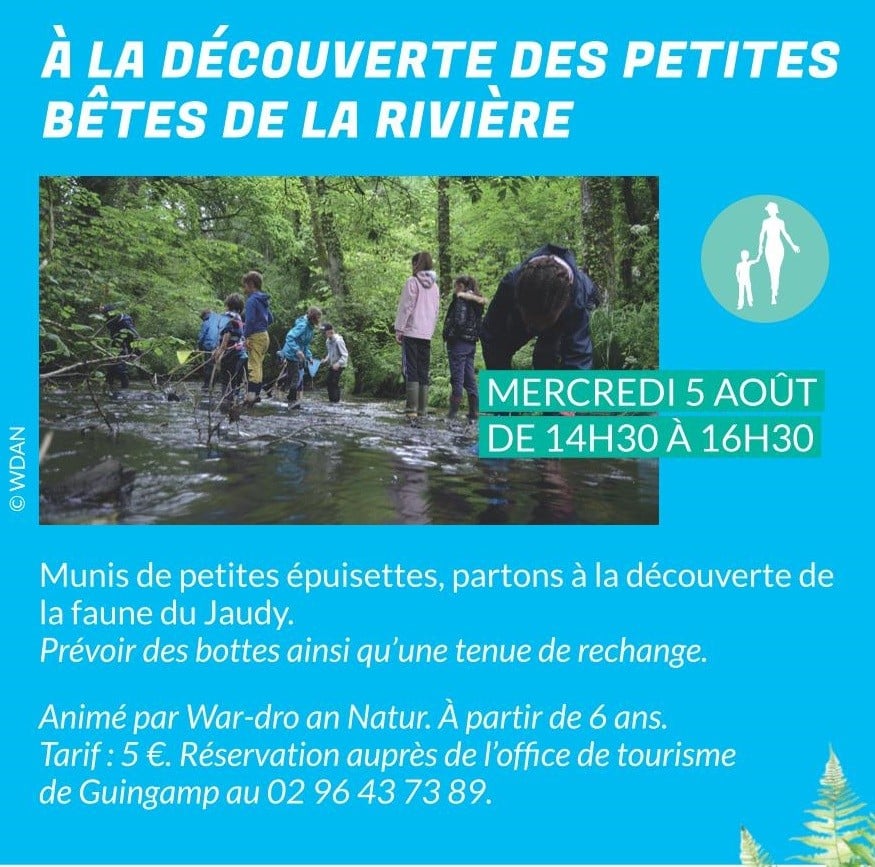A la découverte des petites bêtes de la rivière