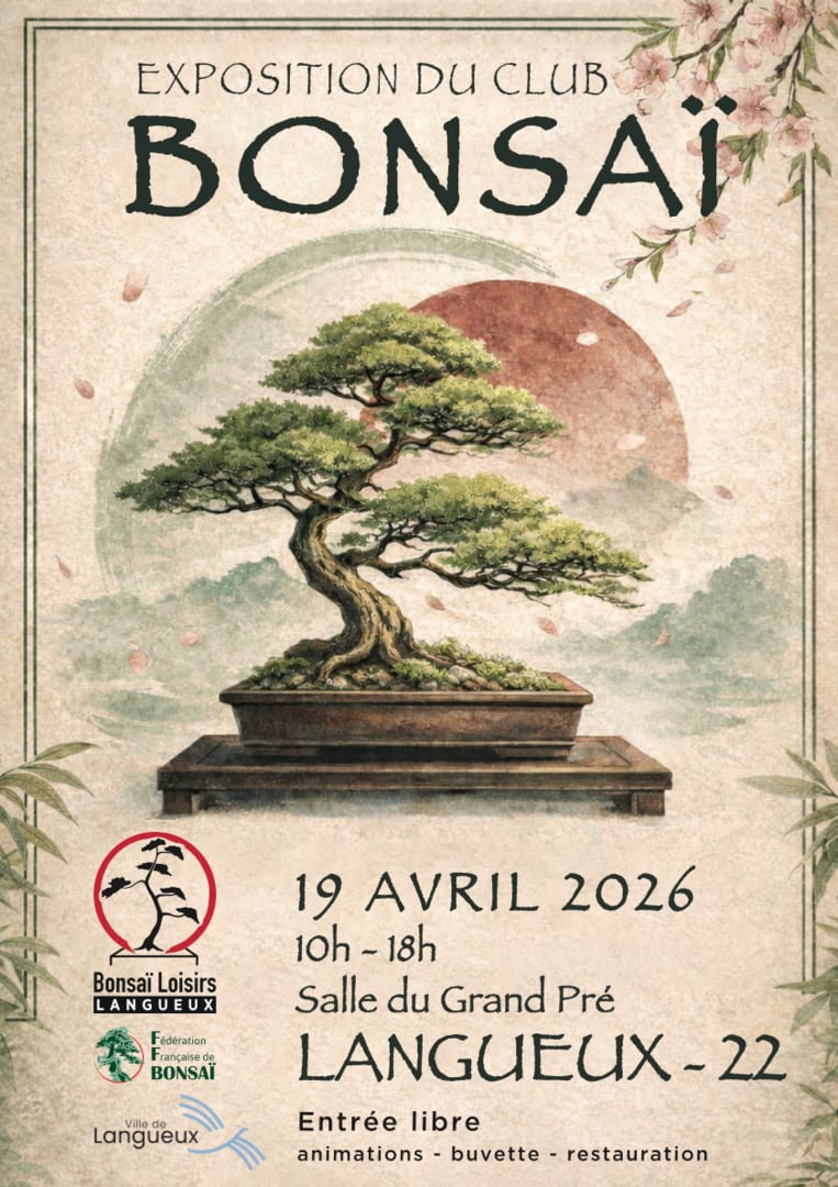 Exposition – Bonsaïs