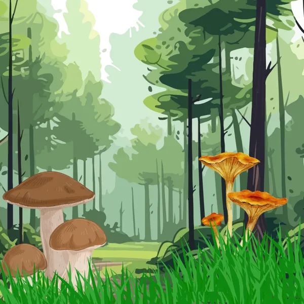 Semaine de la biodiversité : Théâtre "Au Pied de mon arbre"