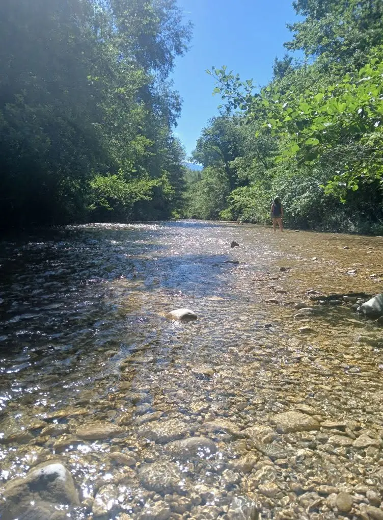 Entre racines & courants : ressourcements les pieds dans l'eau