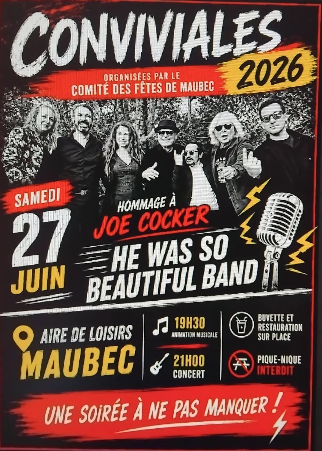 Hommage à Joe Cocker - Les Conviviales
