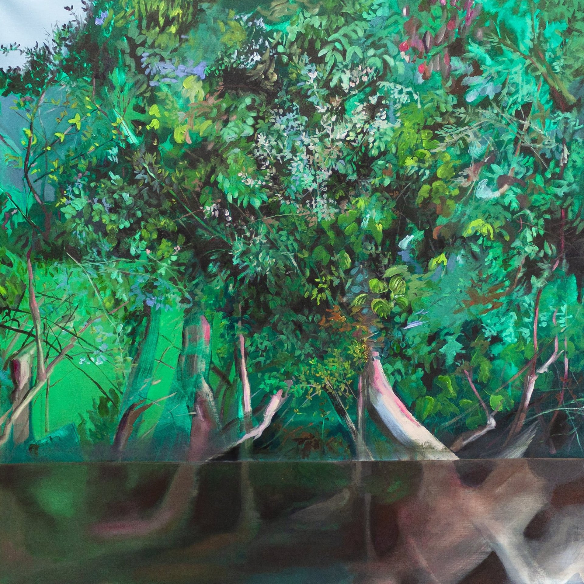 Exposition - Au creux de nos méandres - Alice Suret-Canale