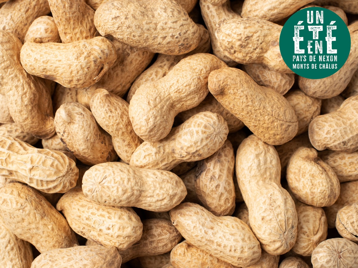 À la rencontre des artisans - La torréfaction Cahu