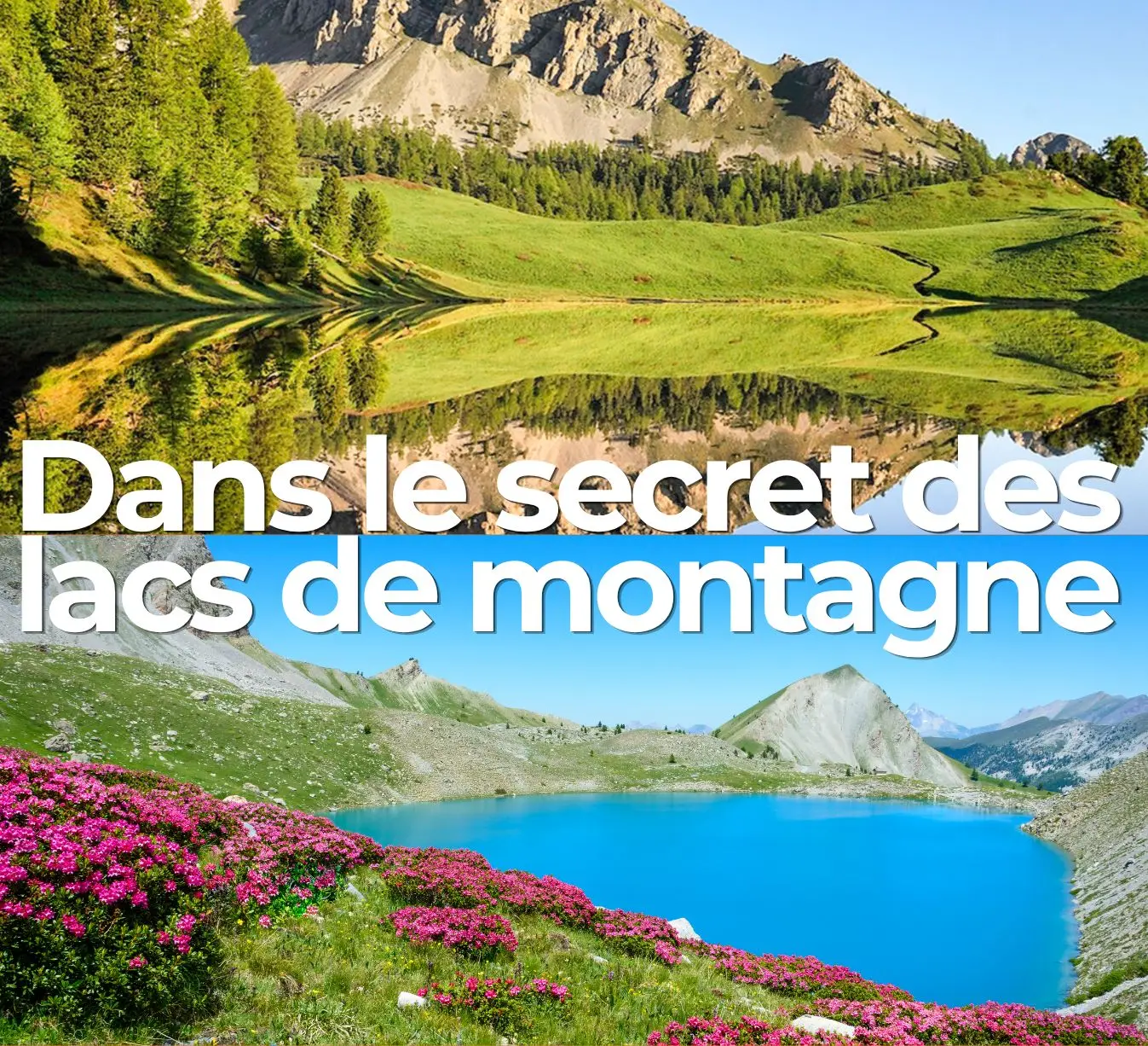 "Dans le secret des lacs de montagne" par Claudie