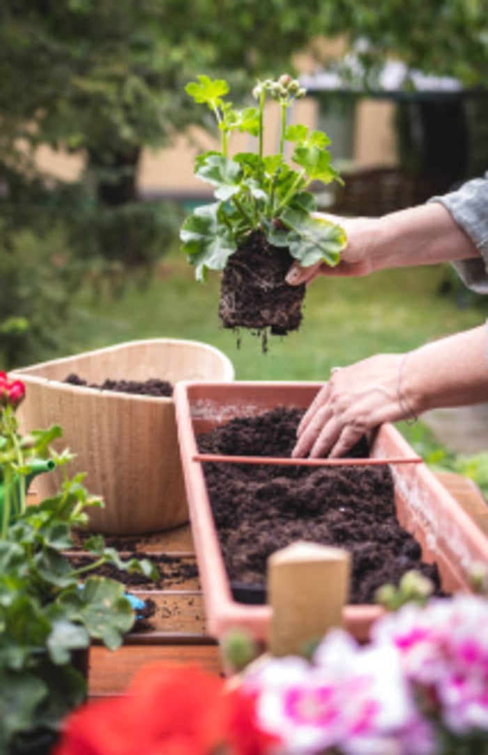 Atelier jardinage, réparation et rénovation de votre mobilier