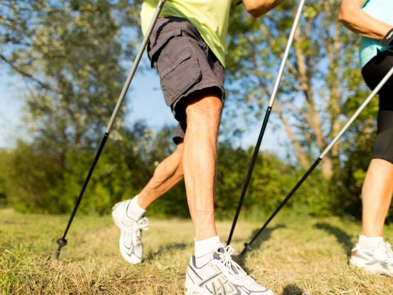 Trail commenté des grottes & chauves-souris de Pierre-la-Treiche