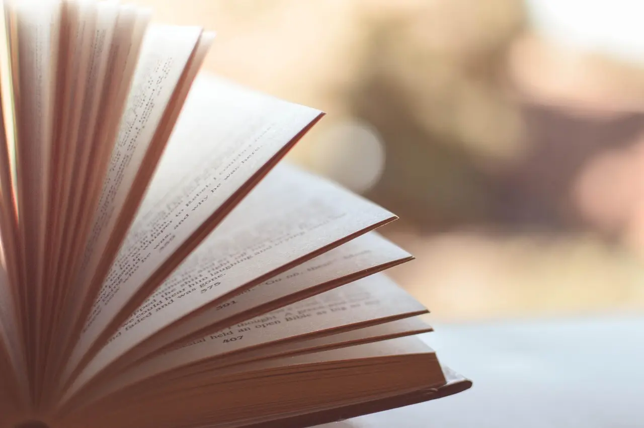 Journées Européennes du Patrimoine : troc livres et rencontre-dédicace