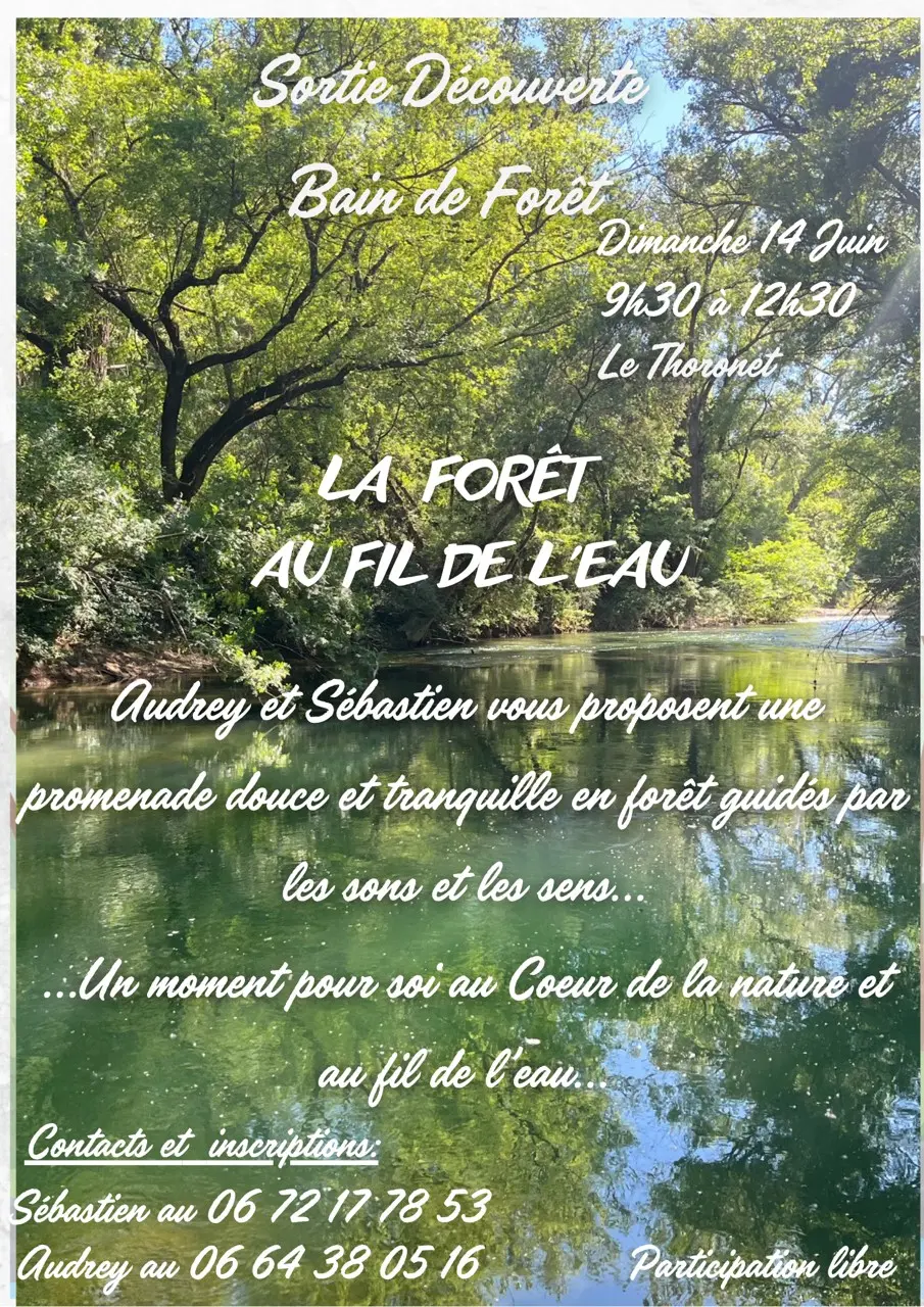Sortie découverte Bain de forêt