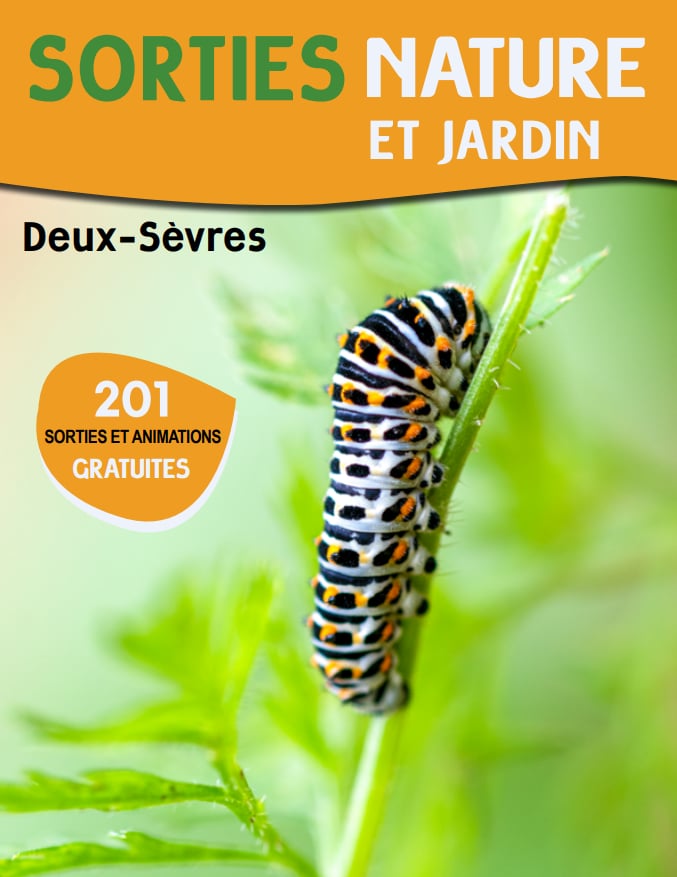 Sortie nature : Découverte de la flore de l'étand des forges