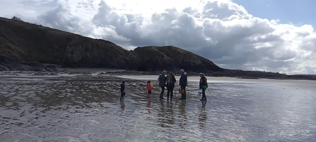 Sortie Nature avec Monsieur Jean : Un bouquet de crevettes roses