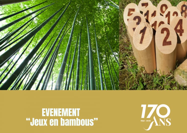 Jeux en bambou à la Bambouseraie