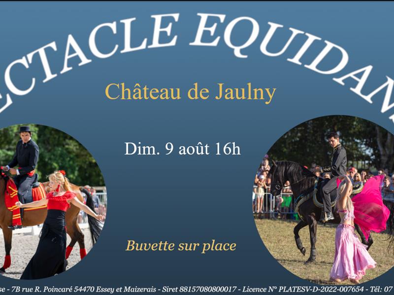 Spectacle EquiDanse