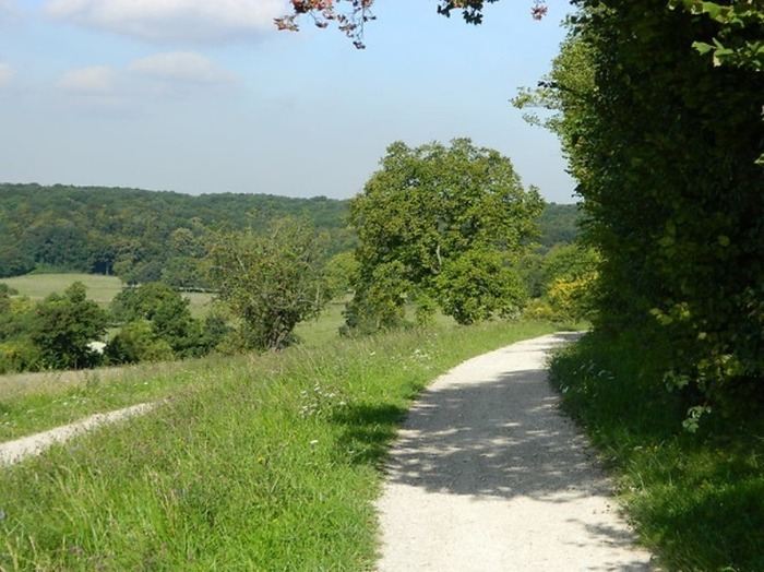 Découverte de l'aqueduc de la Dhuis