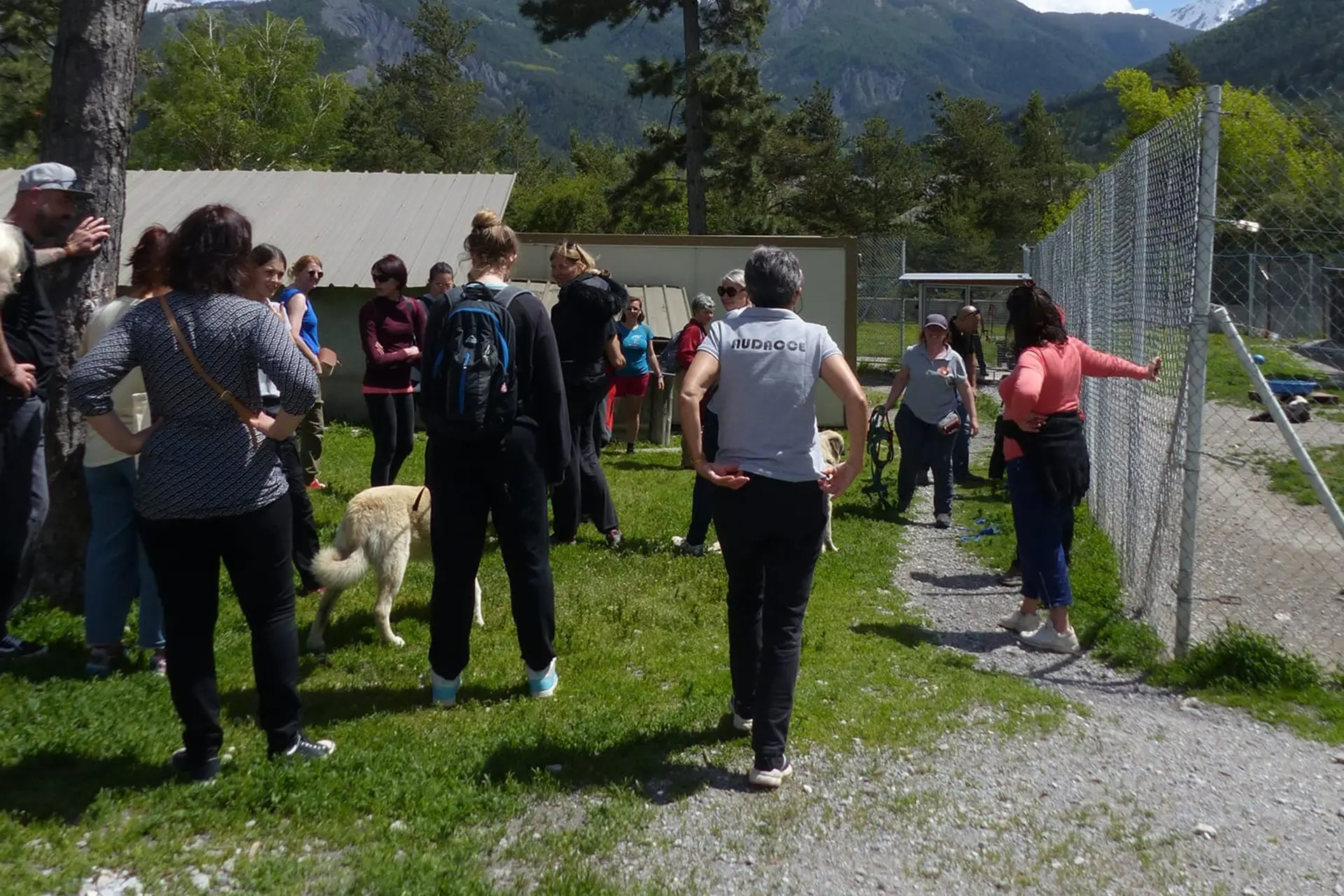 20 ans de protection animale : fête au refuge AUDACCE