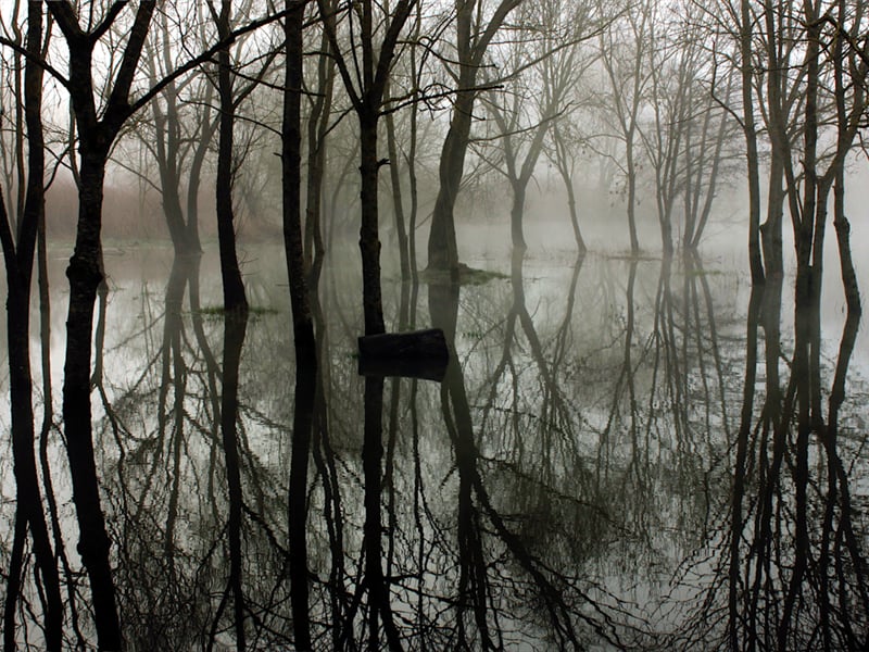 Inauguration "sauvage" : art et nature en dialogue - La Moselle Sauvage en Fête !