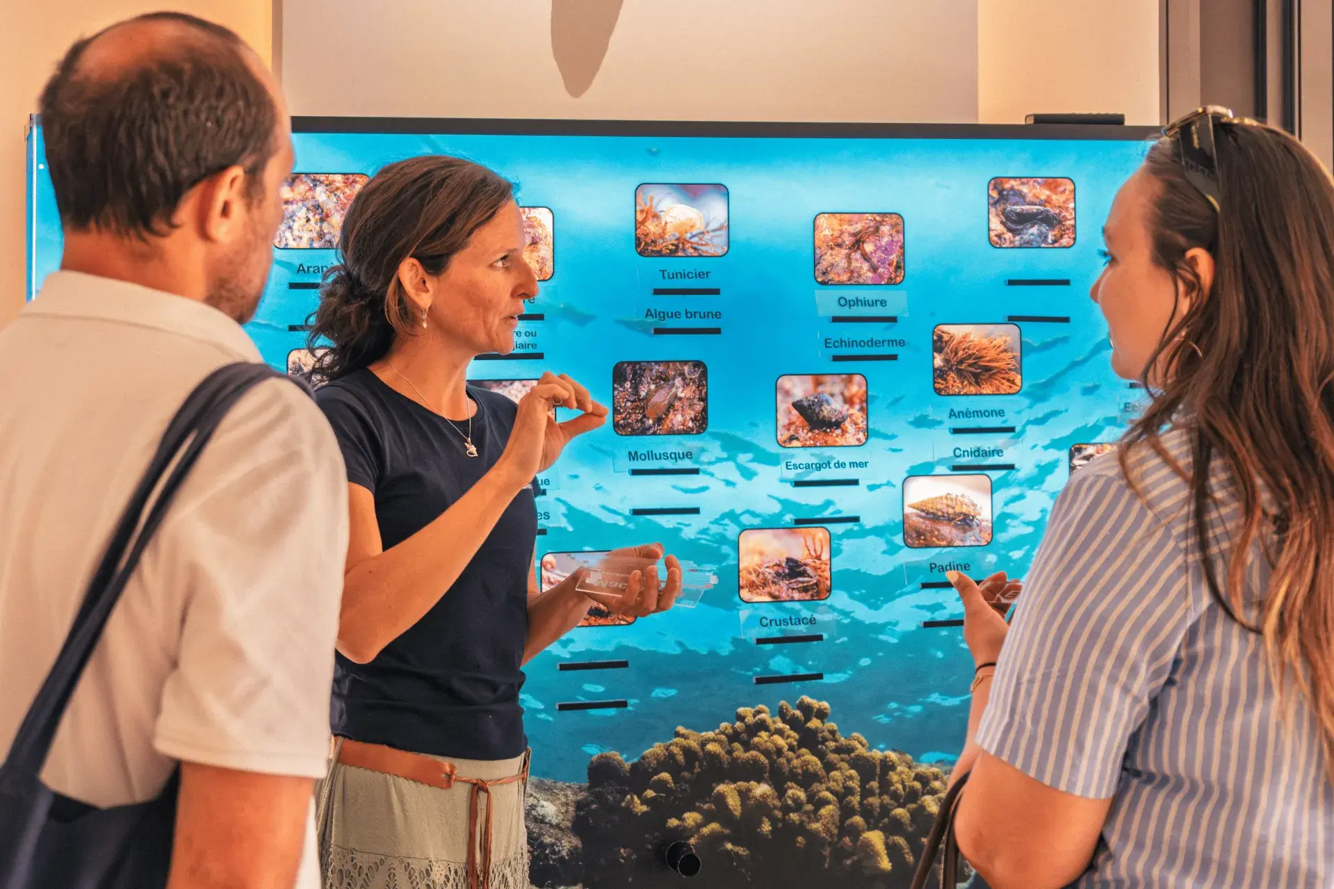 Les ateliers de la mer