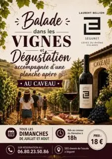 Balade dans les vignes et dégustations au Domaine Laurent Bellion