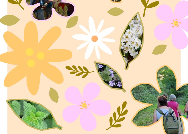 JEP 2026- BALADE PLANTES COMESTIBLES