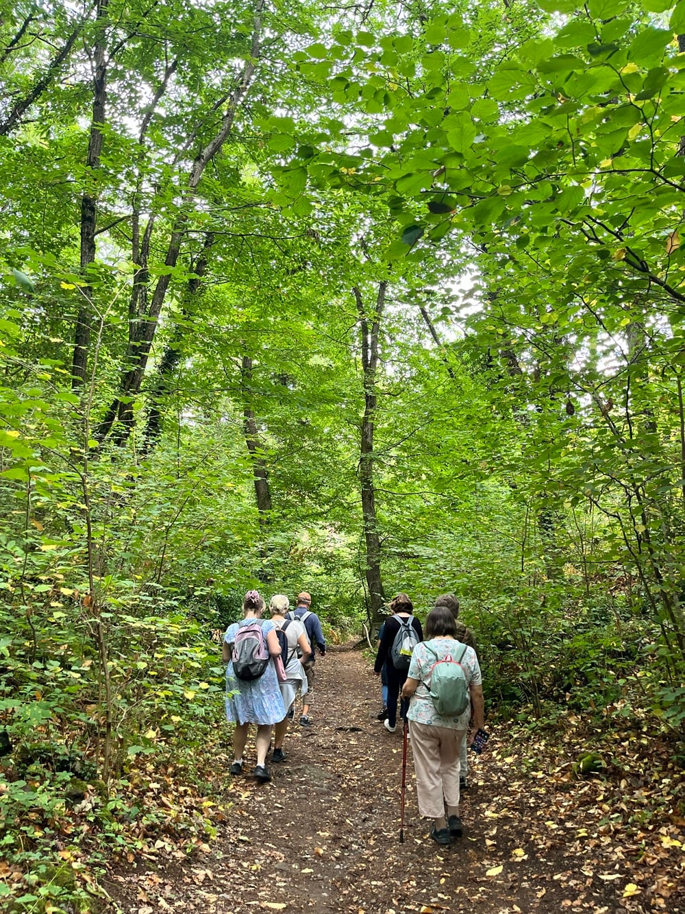 les Rando patrimoine : Histoire du volcanisme et de la pierre de Volvic