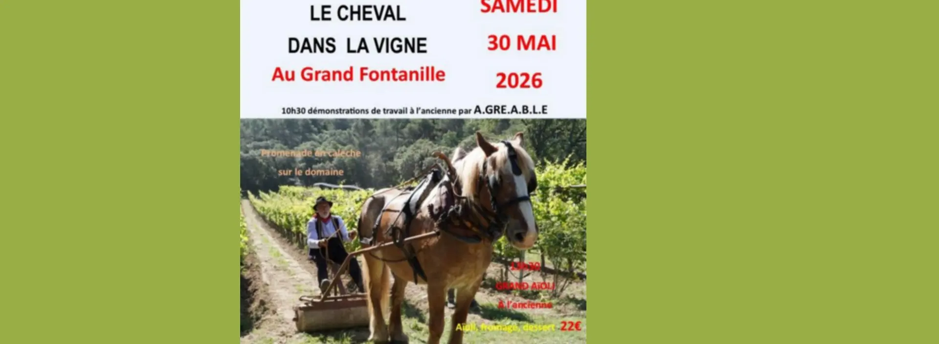 Le Cheval dans la Vigne 2026 - 12ème édition