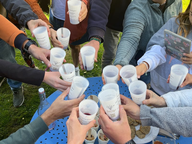 Balade nature : découverte des plantes sauvages avec dégustation