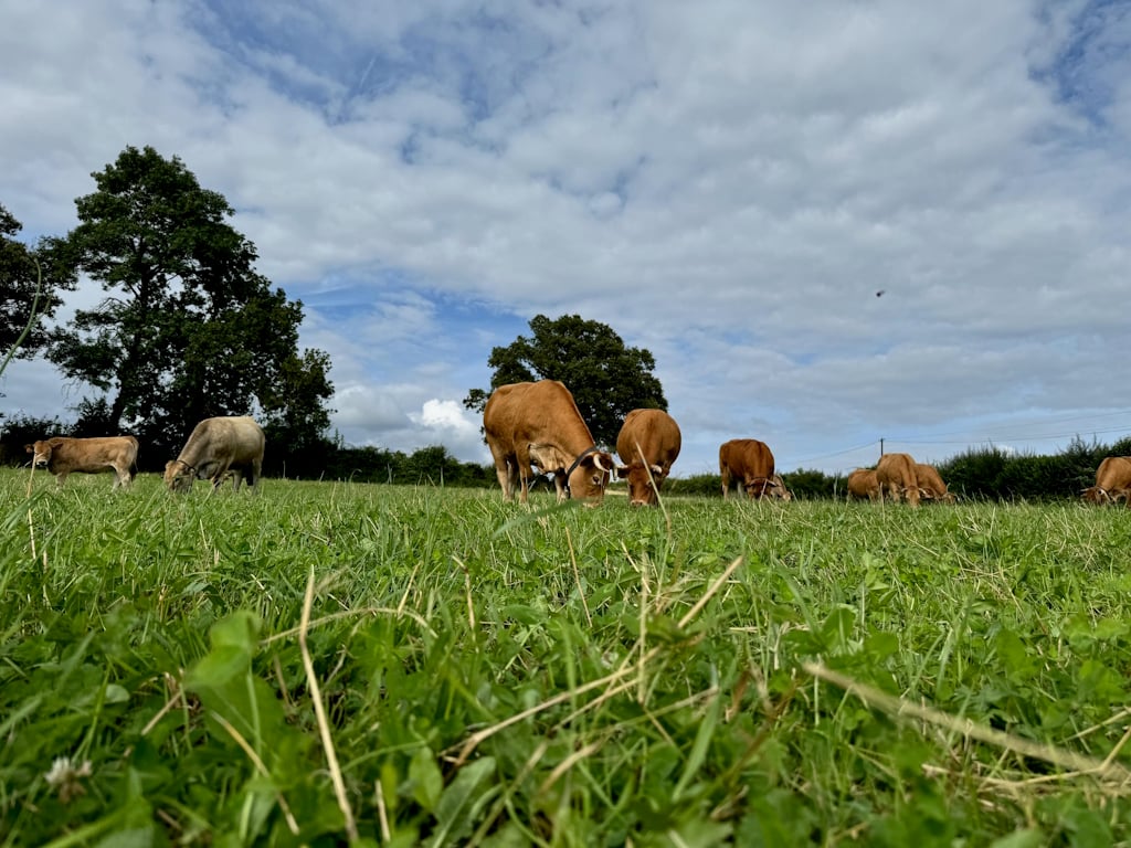 Visite de la ferme La Vallée des Vaches