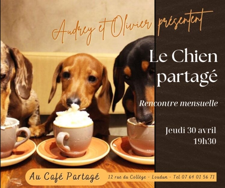 Le chien partagé