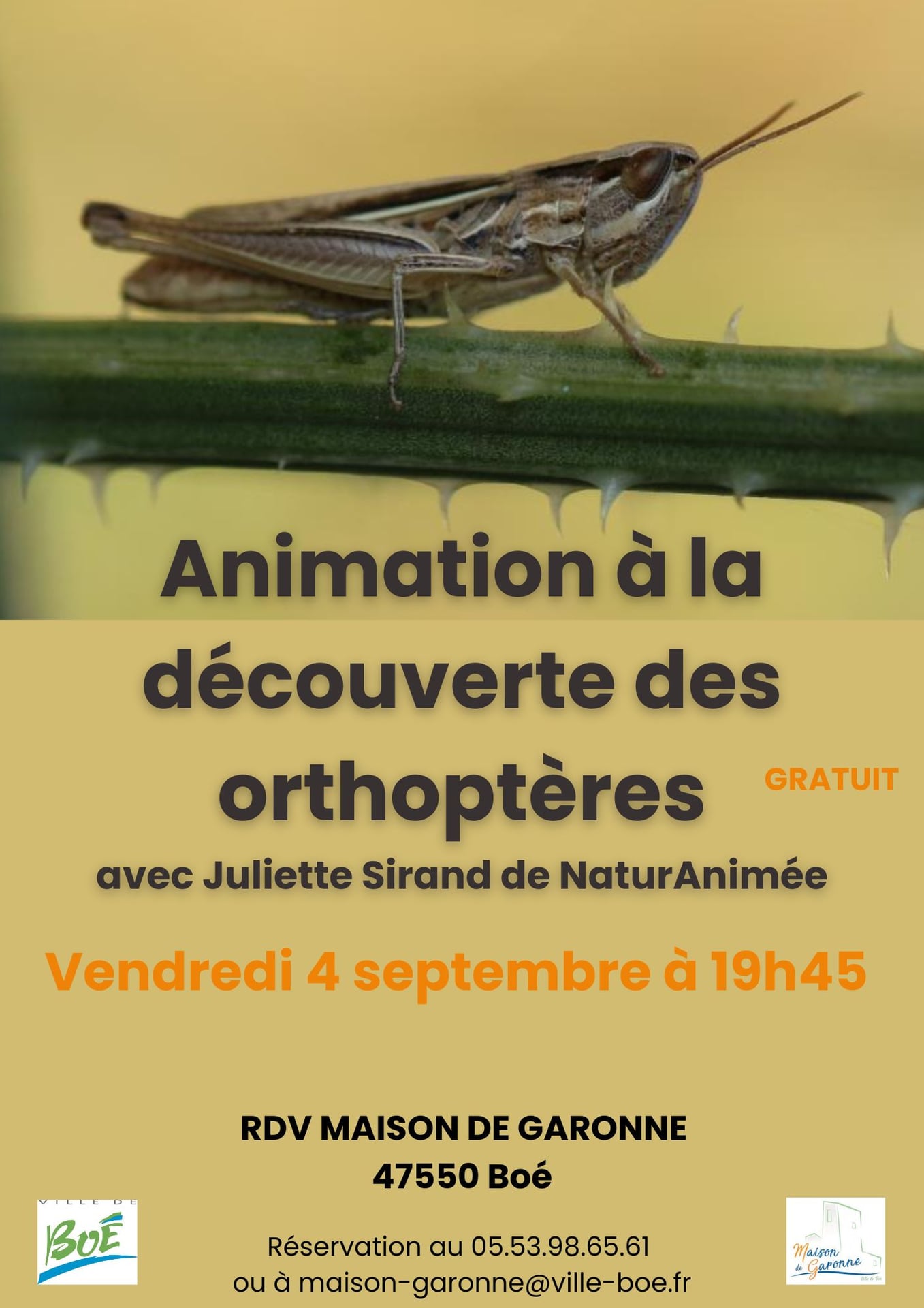 Maison de Garonne : Animation à la découverte des orthoptères – tout public