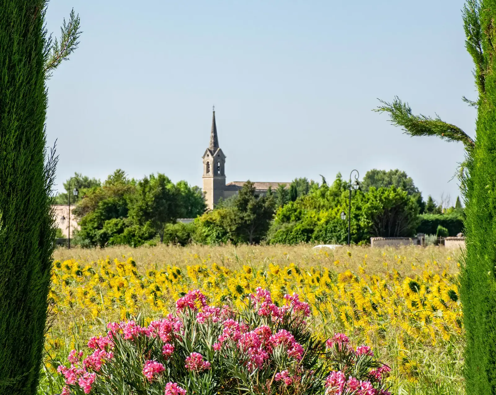 Programme des Randonnées d'avril à juin