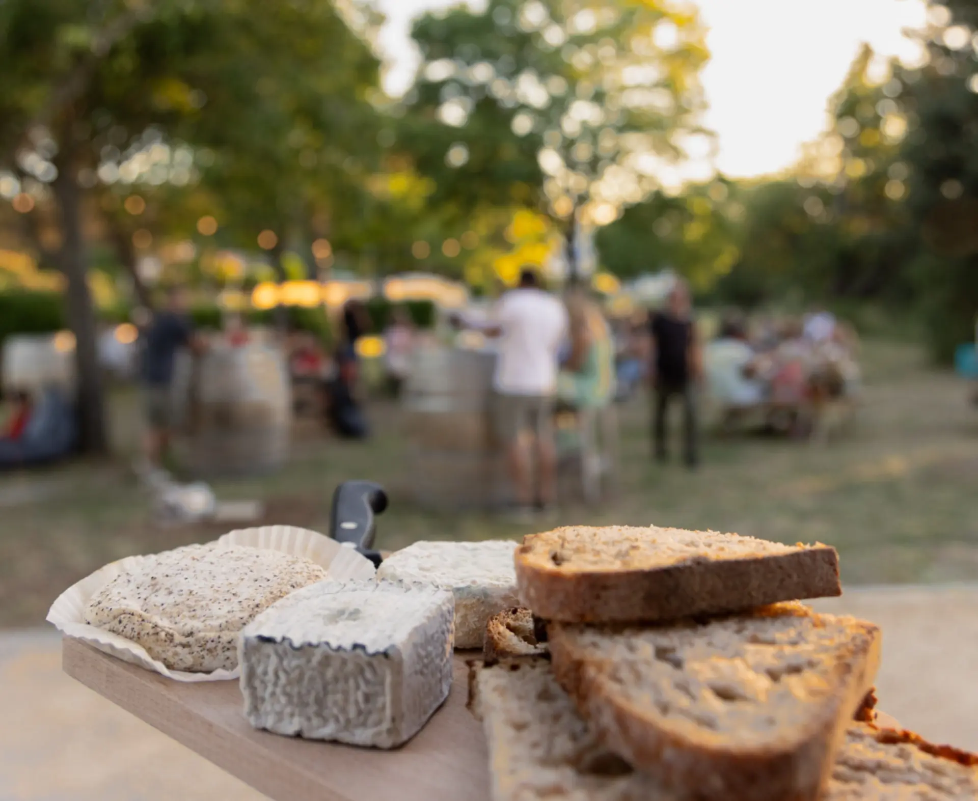Festivals Ventoux Saveurs - Atelier accord vins et fromage/bières et fromages - Cave les Collines