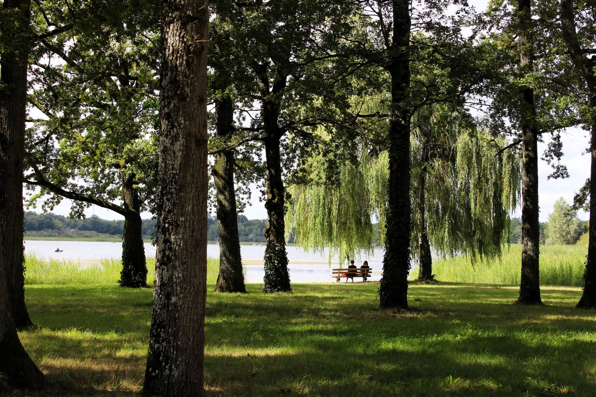 Escapades nature : mardi soir au bord de l'eau