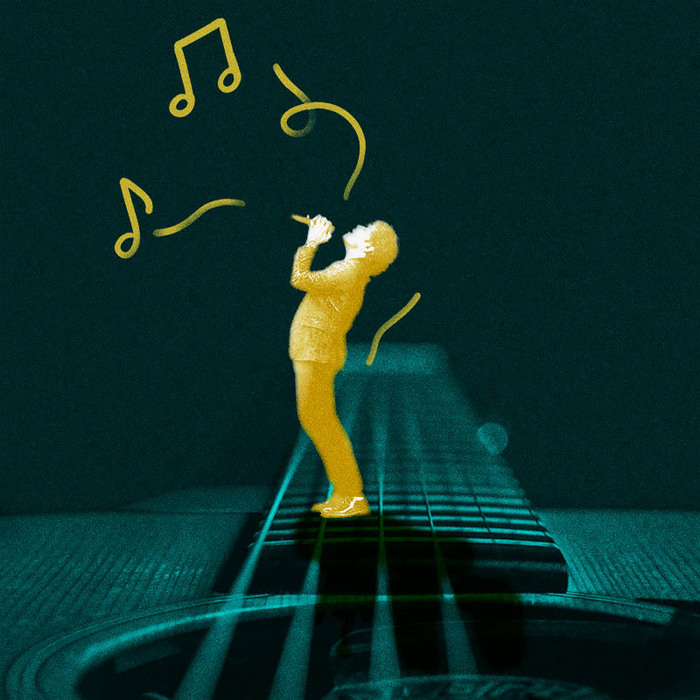 La voix chantée dans les Musiques Actuelles – Parcours long