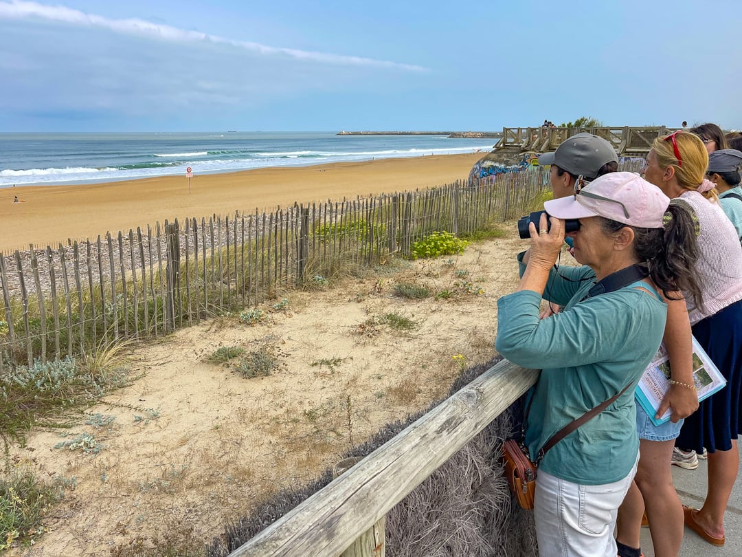 Visite guidée "A la découverte de la gestion du littoral"