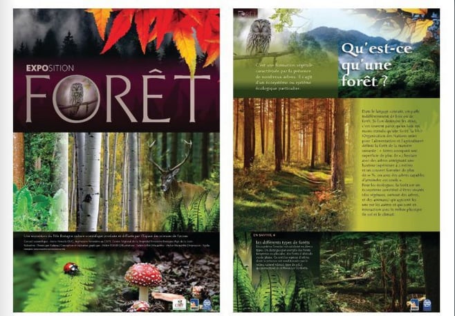 Exposition « Forêt »